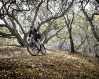 Rider on a trail on a Marin Wildcat Trail bike, Sonoma County CA.