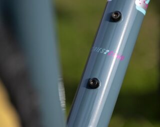 Detail image of the headtube of the Marin Pine Mountain 1