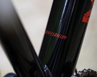 Detail image of the San Quentin 3 headtube