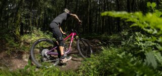 Rider Juliet Elliott on a Rift Zone XR AXS in the forest.