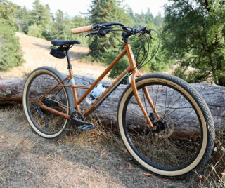 Marin Larkspur 2 bike leaning against a log.